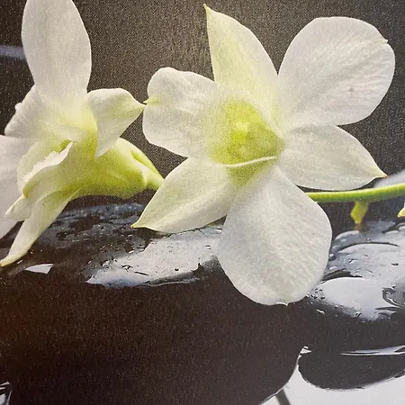 מלון Egtved Hotel Egtved