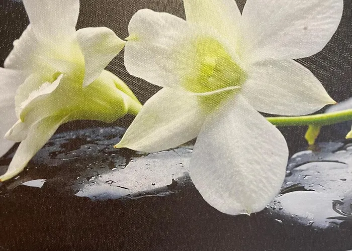 Hotel Egtved Hotel Egtved